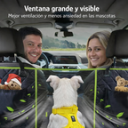 Protector para auto