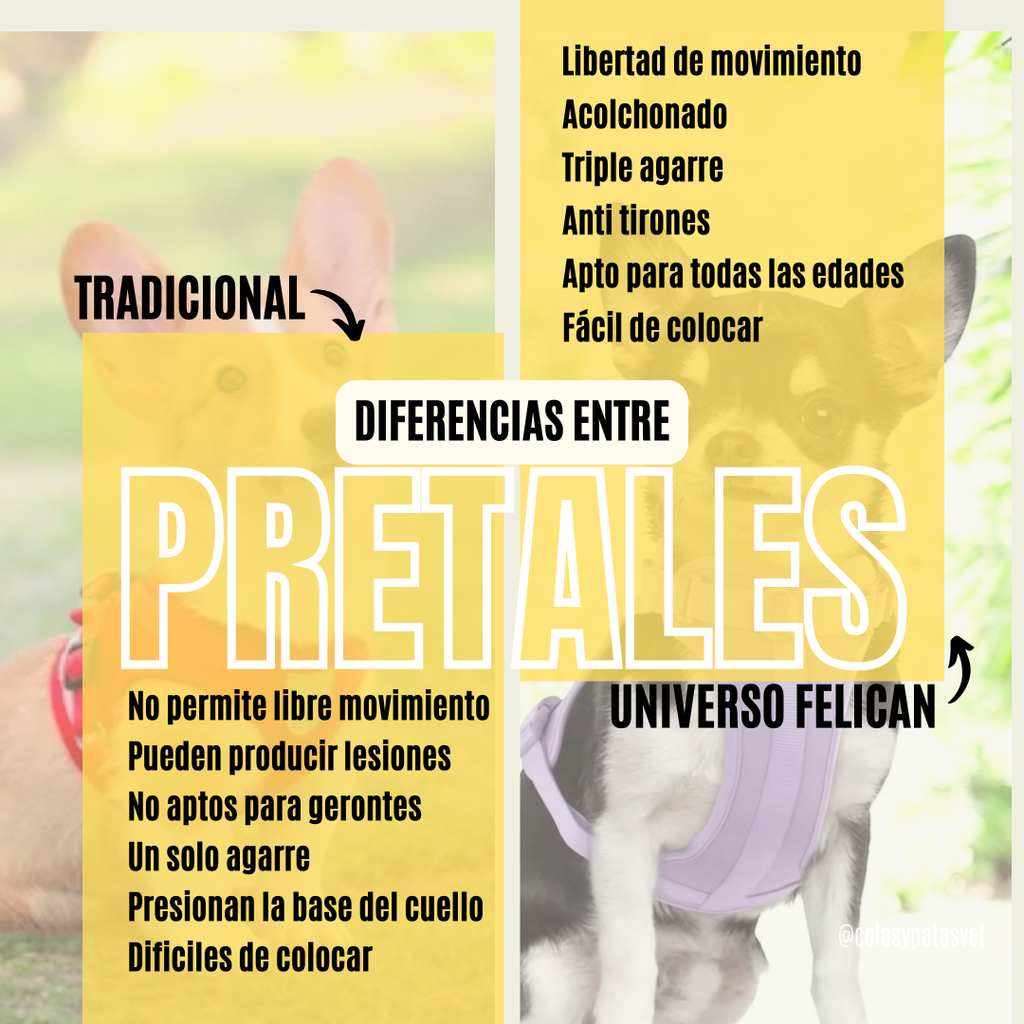 Pretal