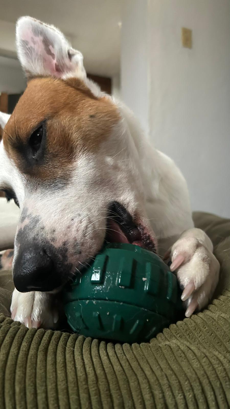 Lickpop